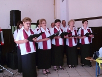 Skup&scaron;tina udruge umirovljenika Orljava - Brestovac