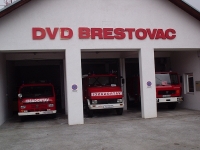 Izvje&scaron;tajna skup&scaron;tina DVD Brestovac